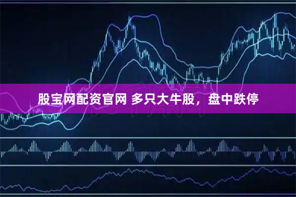 股宝网配资官网 多只大牛股，盘中跌停